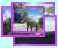 Andalucia Virtual Tour 'Costa 1'